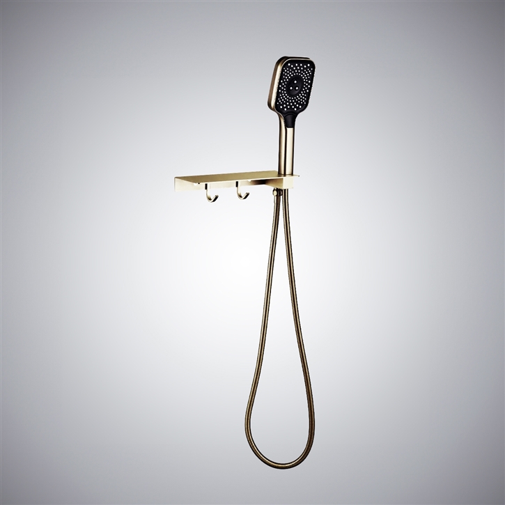 Fontana Loire-Atlantique Champagne Handheld Shower and Shelf Set