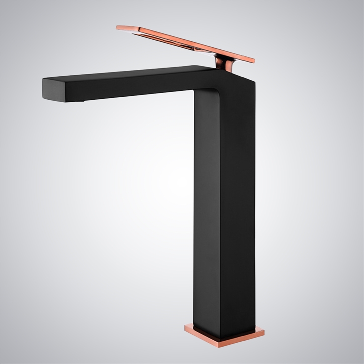 Fontana Travo Black and Gold Dual-Tone Faucet