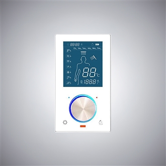Shower System Digital Shower Control Shower Mixer
