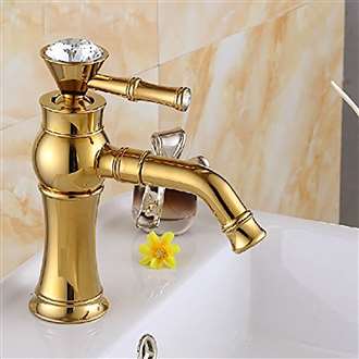 Salta Gold Finish Single Handle Bathroom Home Depot Sink Faucet 