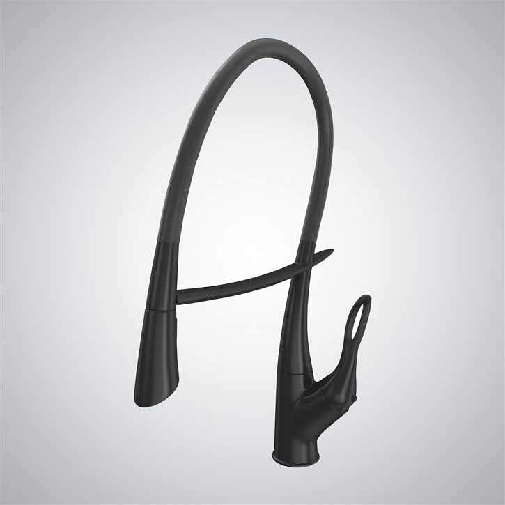 Fontana Requena Matte Black Dual Control Kitchen Sink Faucet