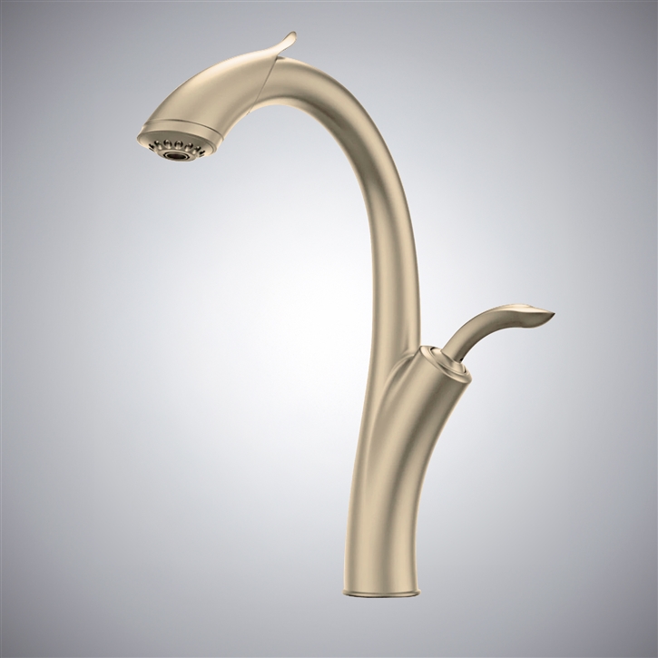 Fontana Linares Champagne Modern Rotatable Kitchen Sink Faucet