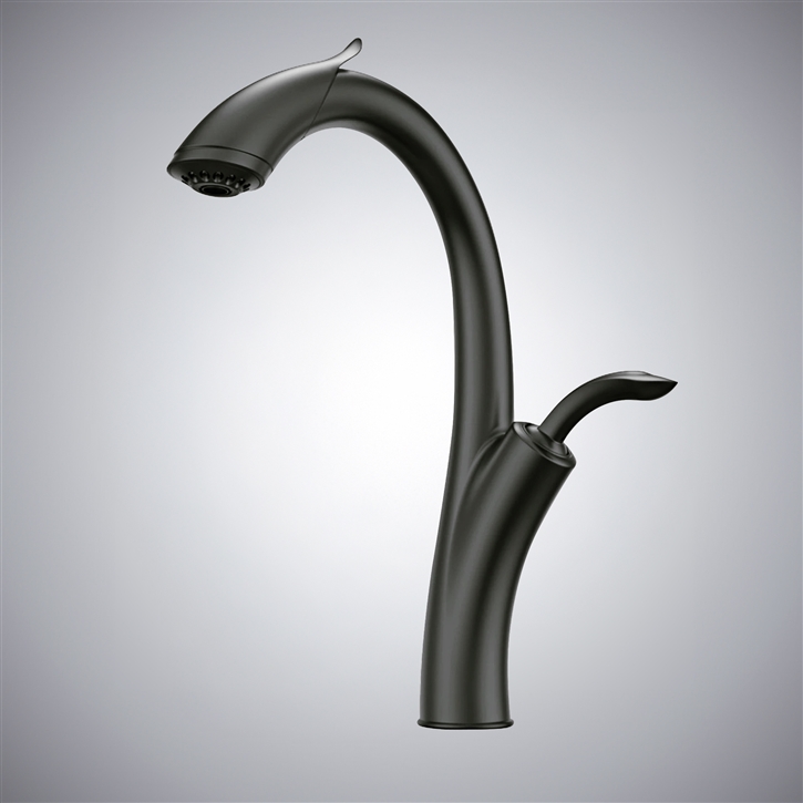 Fontana Linares Brushed Gray Hot and Cold Kitchen Sink Faucet