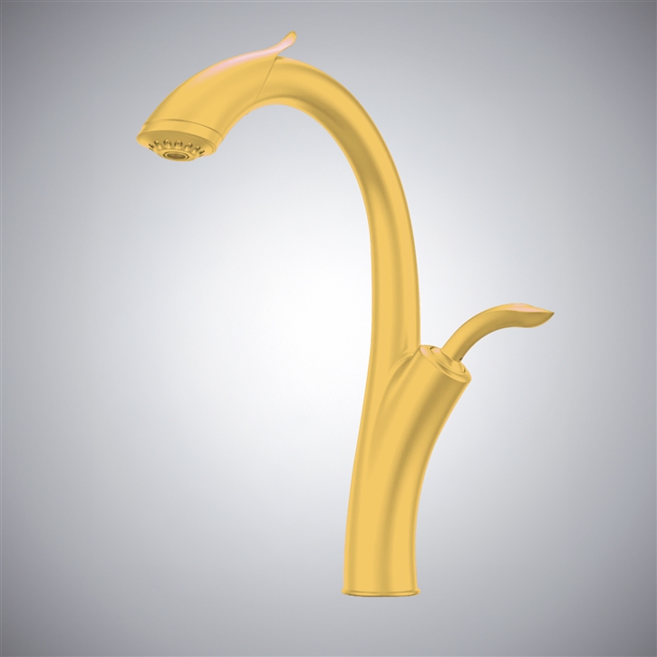 Fontana Linares Gold Pull Out Thermostatic Kitchen Sink Faucet