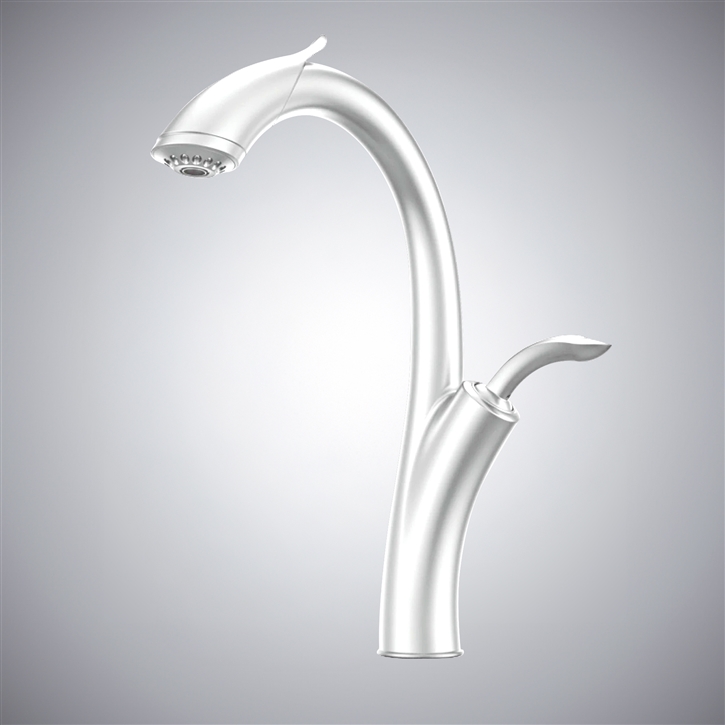 Fontana Linares Matte White Contemporary Kitchen Sink Faucet