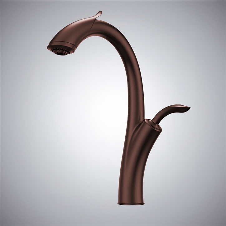 Fontana Linares Oil Rubbed Bronze Modern Kitchen Sink Faucet