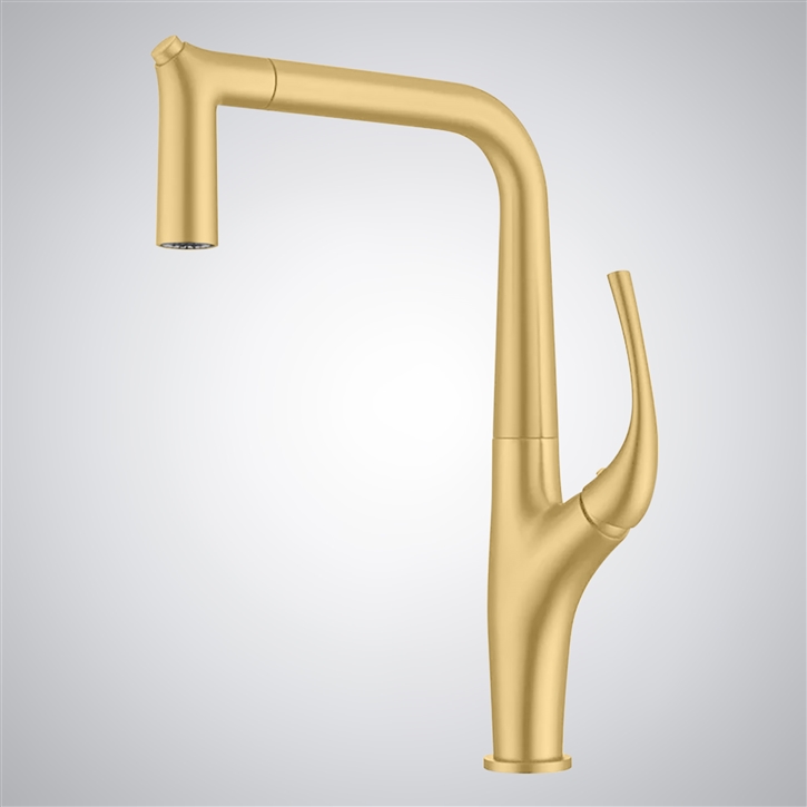 Fontana Boville Brushed Gold Single Hole Kitchen Sink Faucet