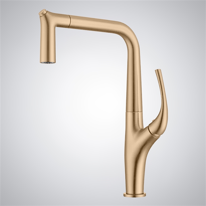 Fontana Boville Champagne Modern Thermostatic Kitchen Sink Faucet