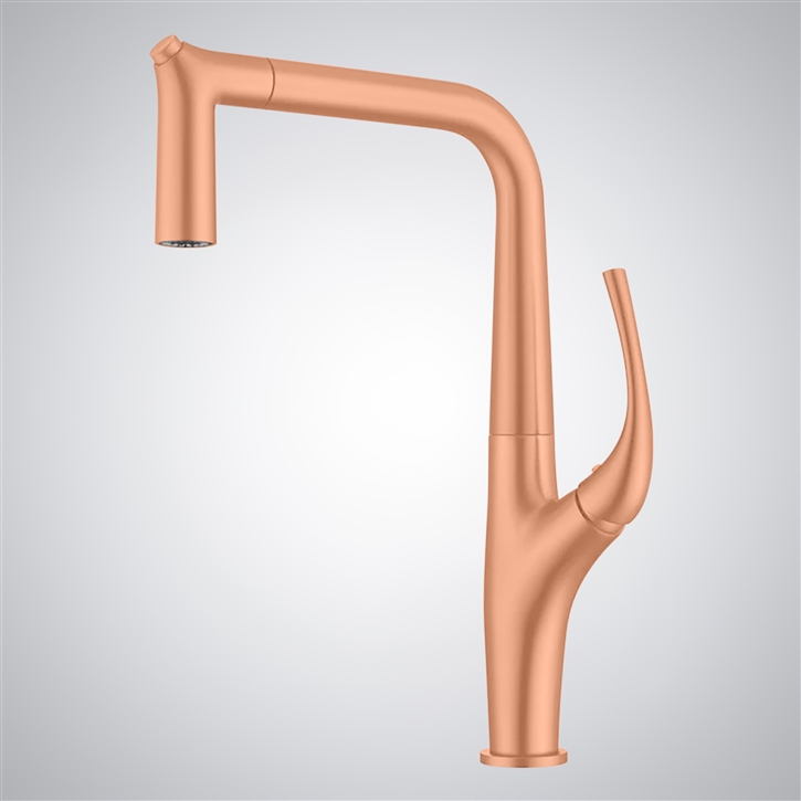 Fontana Boville Rose Gold Thermostatic Kitchen Sink Faucet