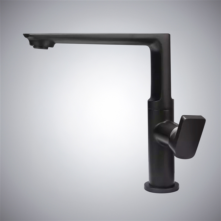 Fontana Leno Gun Metal Gray Single Handle Hot & Cold Lavatory Faucet