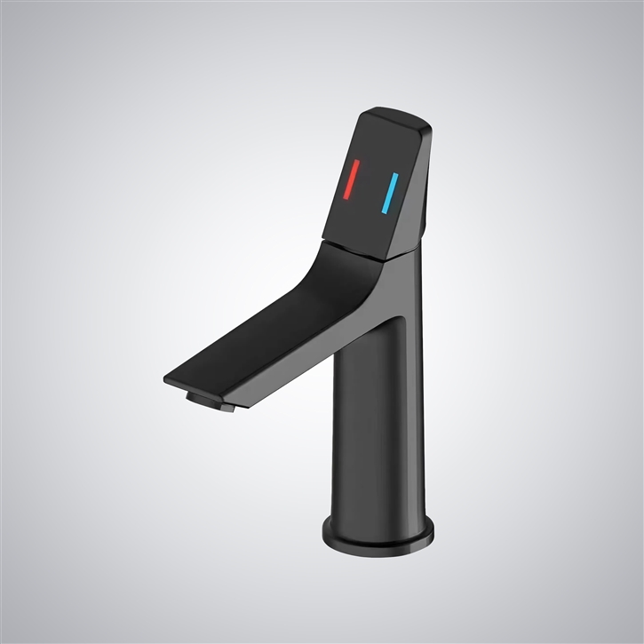 Fontana Digne-les-Bains Black Single Handle Stainless Steel Basin Faucet