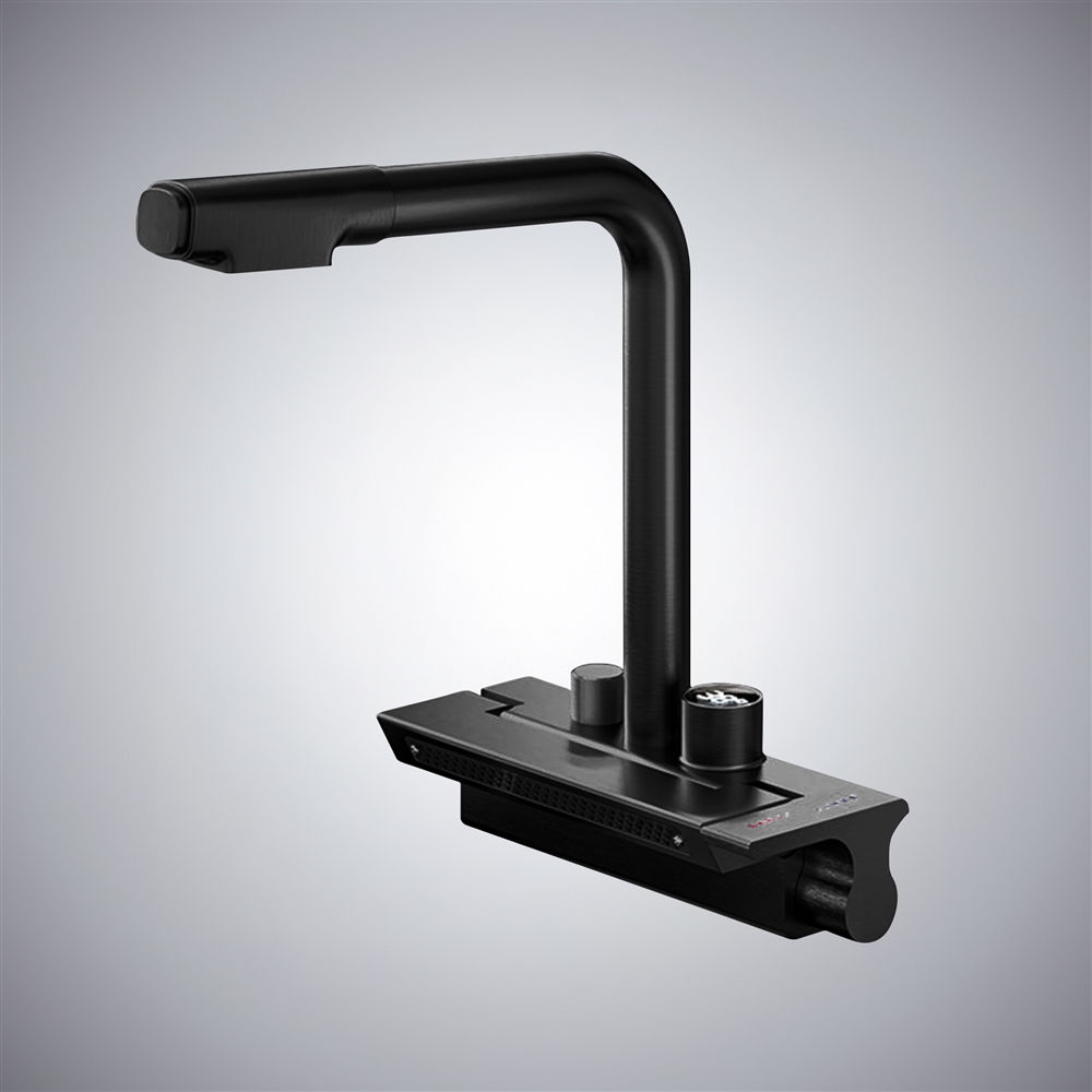 Fontana Carate Matte Black Pull Out Luxury Kitchen Faucet With Temperature Digital Display