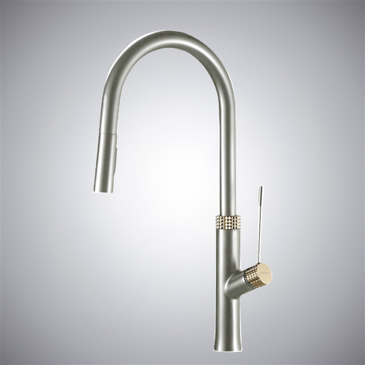 Fontana Lonato Brushed Nickel Pull-Out Dual Control Luxury Kitchen Faucet