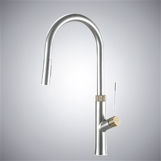 Fontana Lonato Chrome Dual Control Pull-Out Luxury Kitchen Faucet