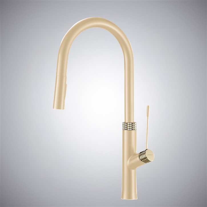 Fontana Lonato Champagne Luxury Dual Control Pull-Out Kitchen Faucet