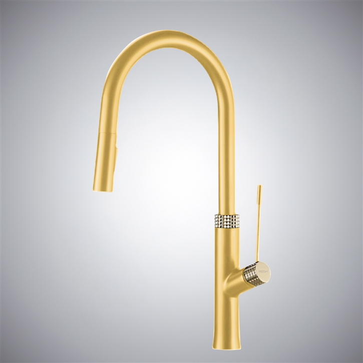 Fontana Lonato Gold Pull-Out Dual Control Luxury Kitchen Faucet