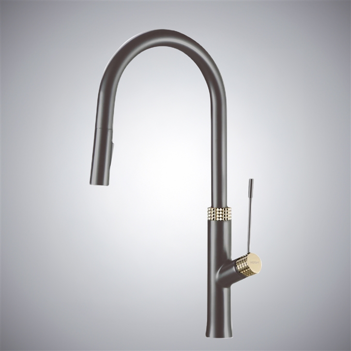 Fontana Lonato Gun Metal Gray Brass Pull-Out Luxury Dual Control Kitchen Faucet