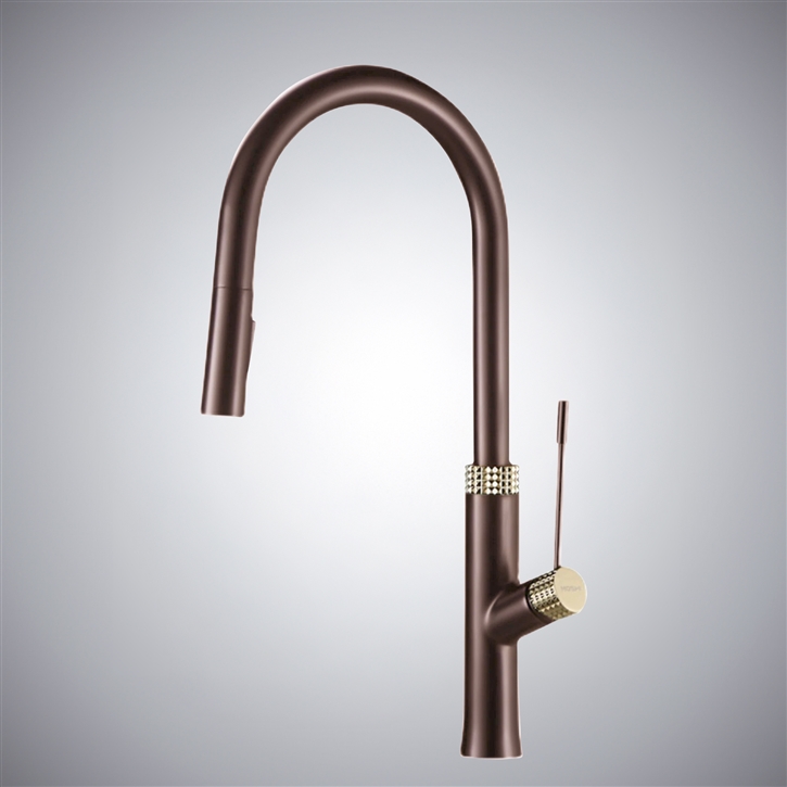 Fontana Lonato Oil Rubbed Bronze Dual Control Pull-Out Kitchen Faucet with Thermostatic