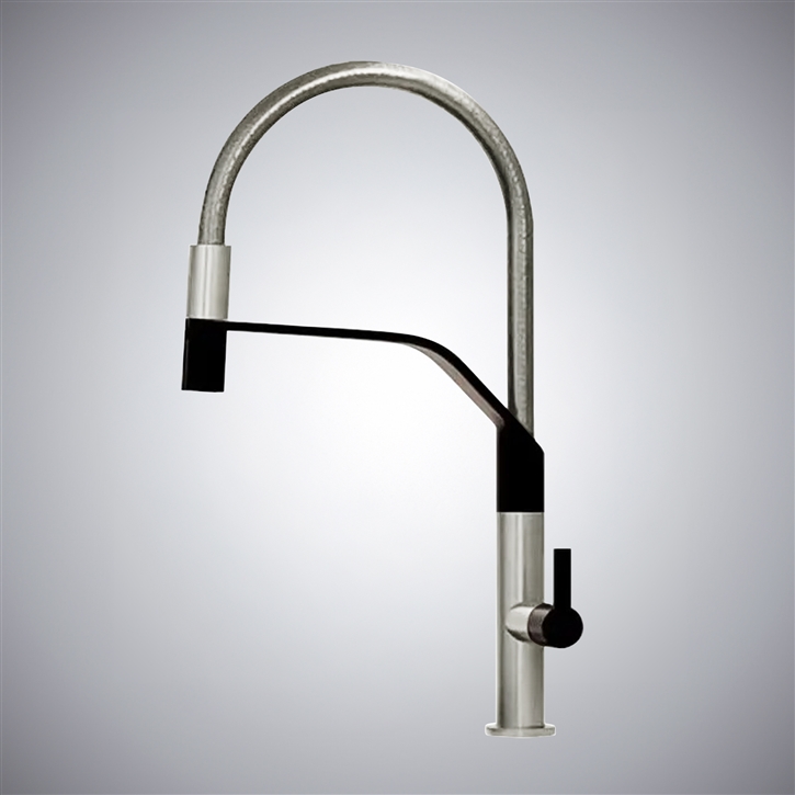 Fontana Maleo Brushed Nickel Hot And Cold Pull-Out Kitchen Faucet