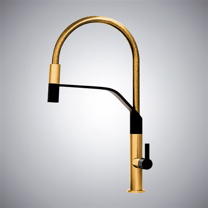 Fontana Maleo Gold Hot And Cold Luxury Pull-Out Kitchen Faucet