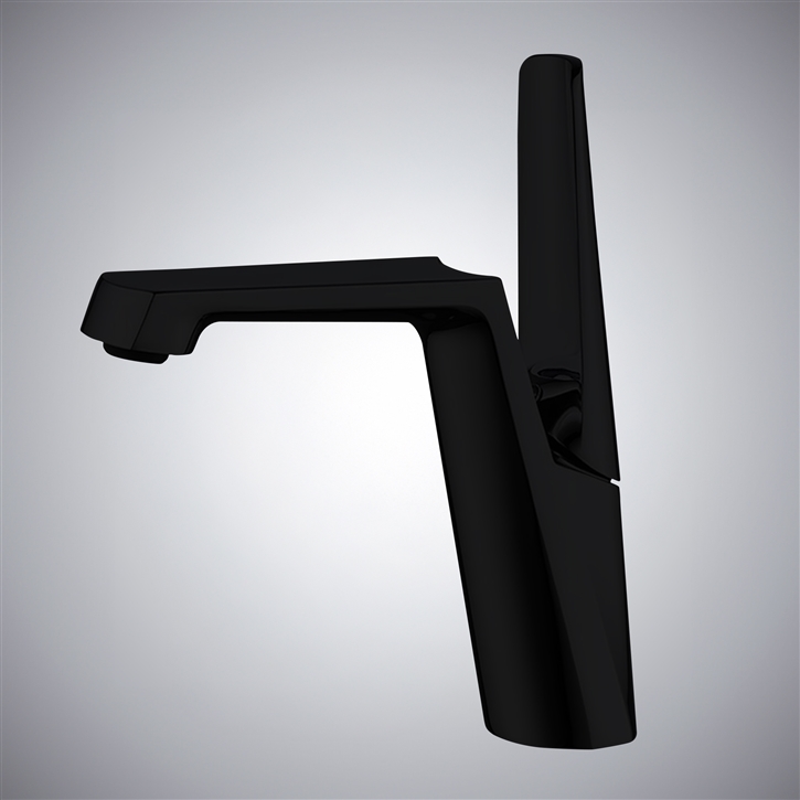 FS7876MB matte black faucet