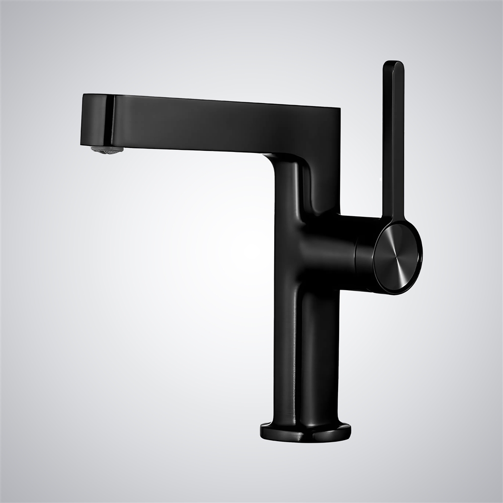 Fontana Ivry Matte Black Thermostatic Contemporary Sink Faucet