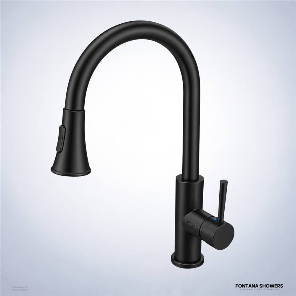 Matte Black Kitchen Faucet