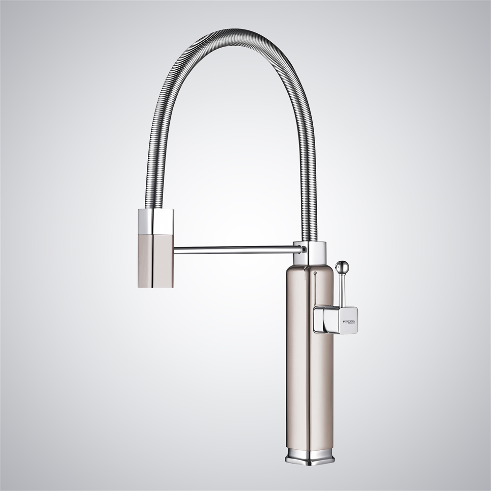 Fontana Chienes Brushed Nickel Hot And Cold Water Pull-Out Kitchen Faucet