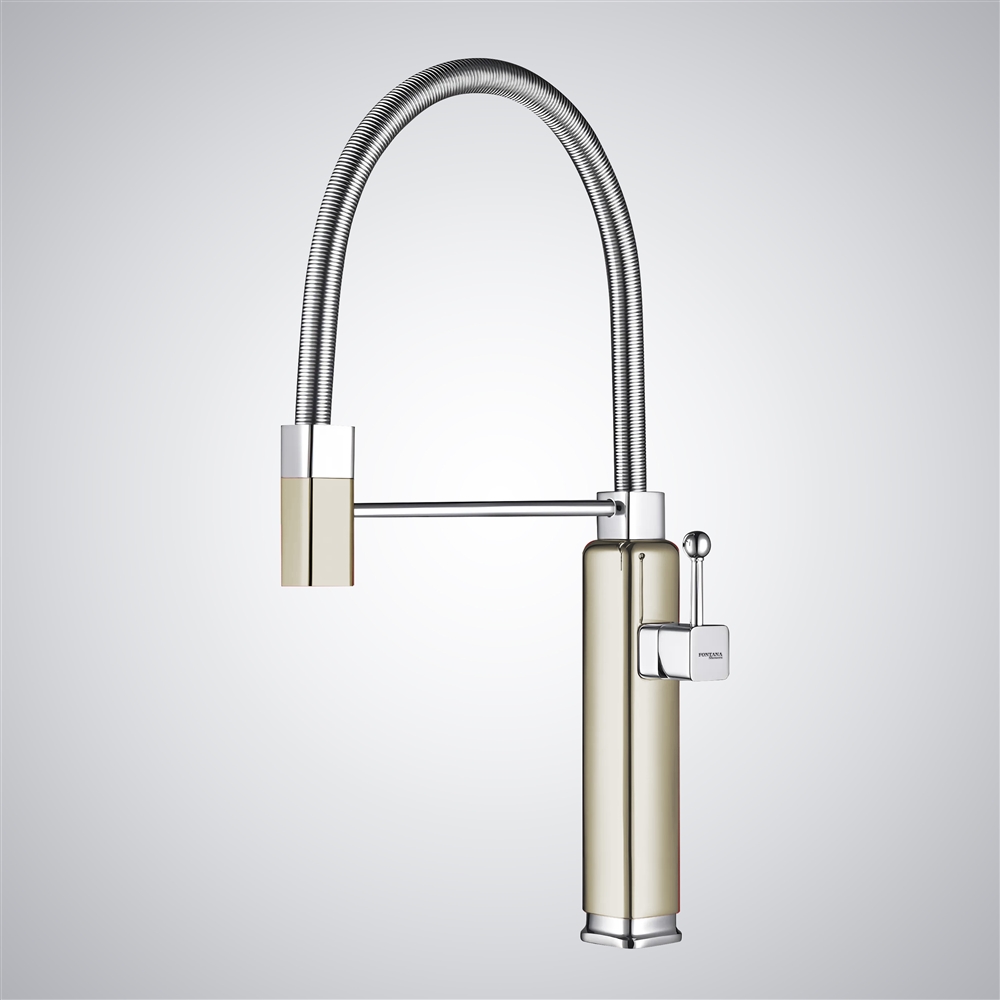 Fontana Chienes Champagne Hot And Cold Water Pull-Out Kitchen Faucet