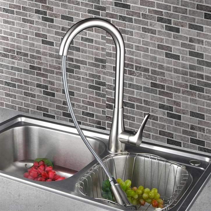 Agueda Kitchen Sink Faucet with Pullout Sprayer (FS852QWP)