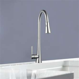 Pull Out Sink Faucet