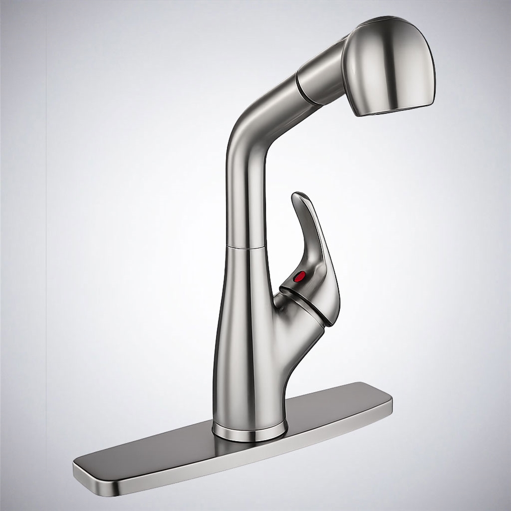 RV Brushed Nickel Single Handle Pull-Out Travel Faucet