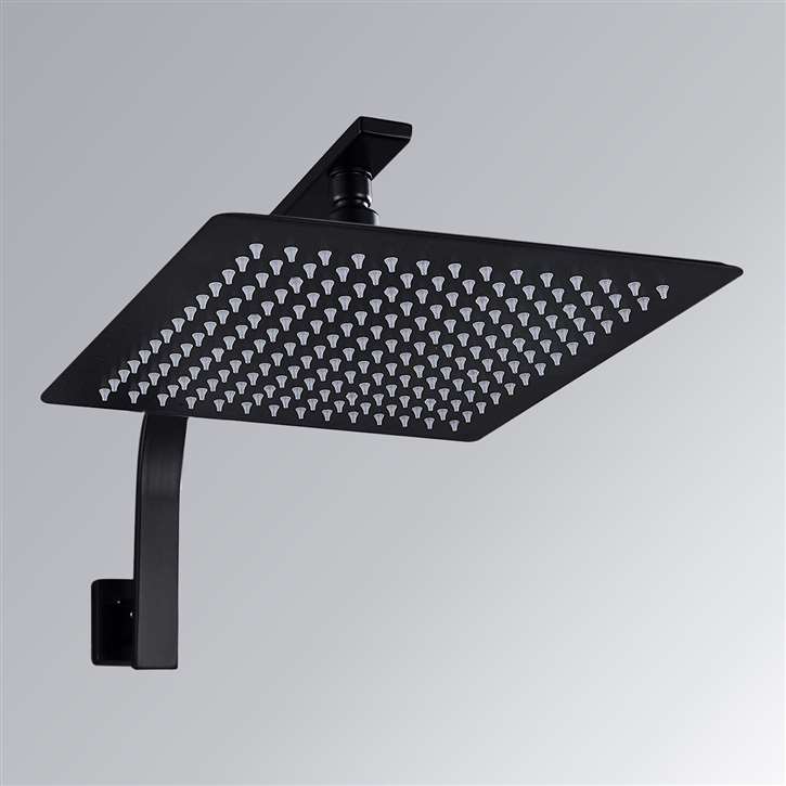 Luxury Black Shower Head