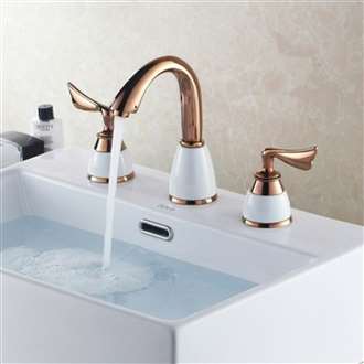 Leonardo Gold Dual Handle Commercial Sink Faucet 