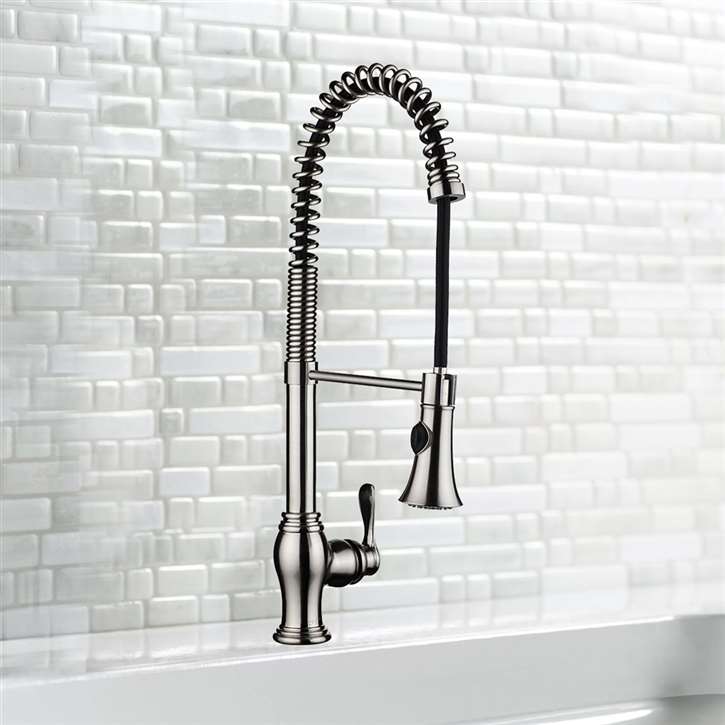 Campania Brushed Nickel Single Handle Kitchen Sink Faucet with Pull Down Sprayer-Fontana
-